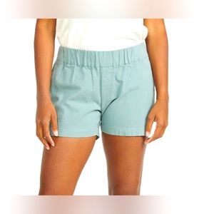 Free Fly Canvas Shorts